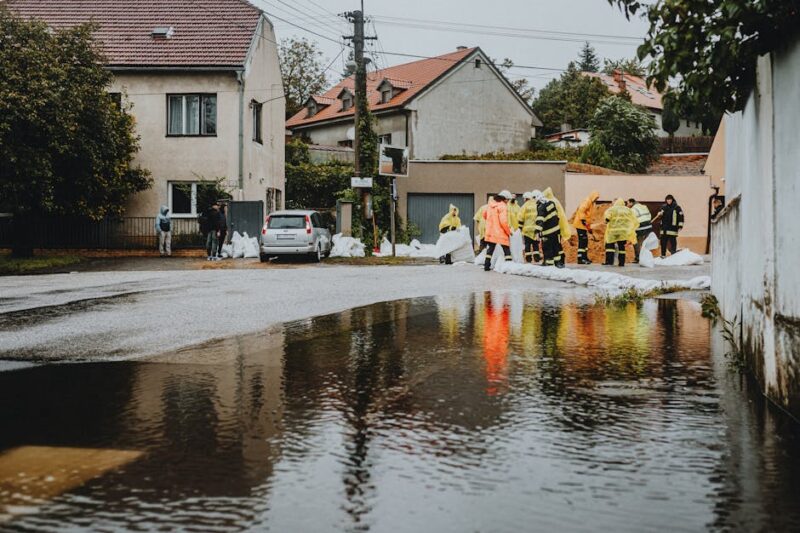 What Makes a Society More Resilient to Rare but Severe Emergencies?