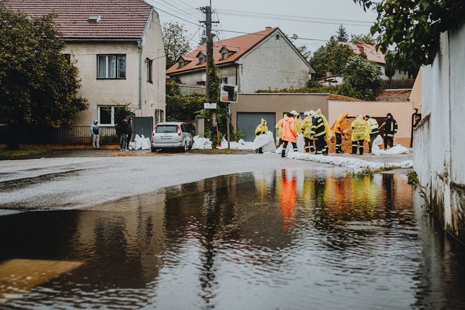 What Makes a Society More Resilient to Rare but Severe Emergencies?